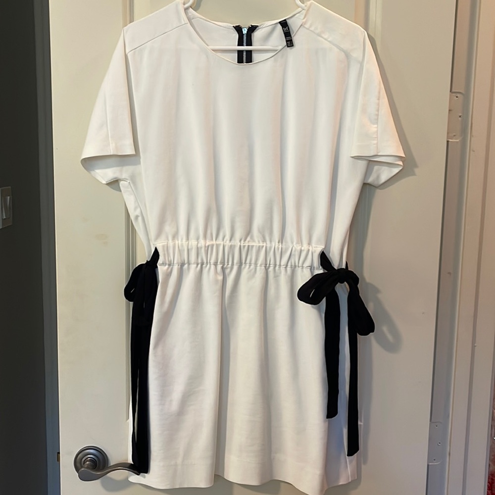 Zara TRF Dress